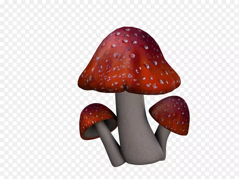 [医]蘑菇