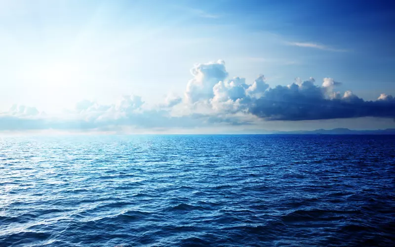 地球海洋航行故事海洋生态系统-海洋