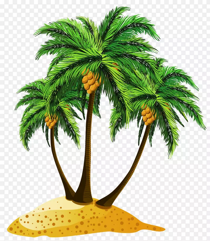 沙滩树剪贴画-棕榈树