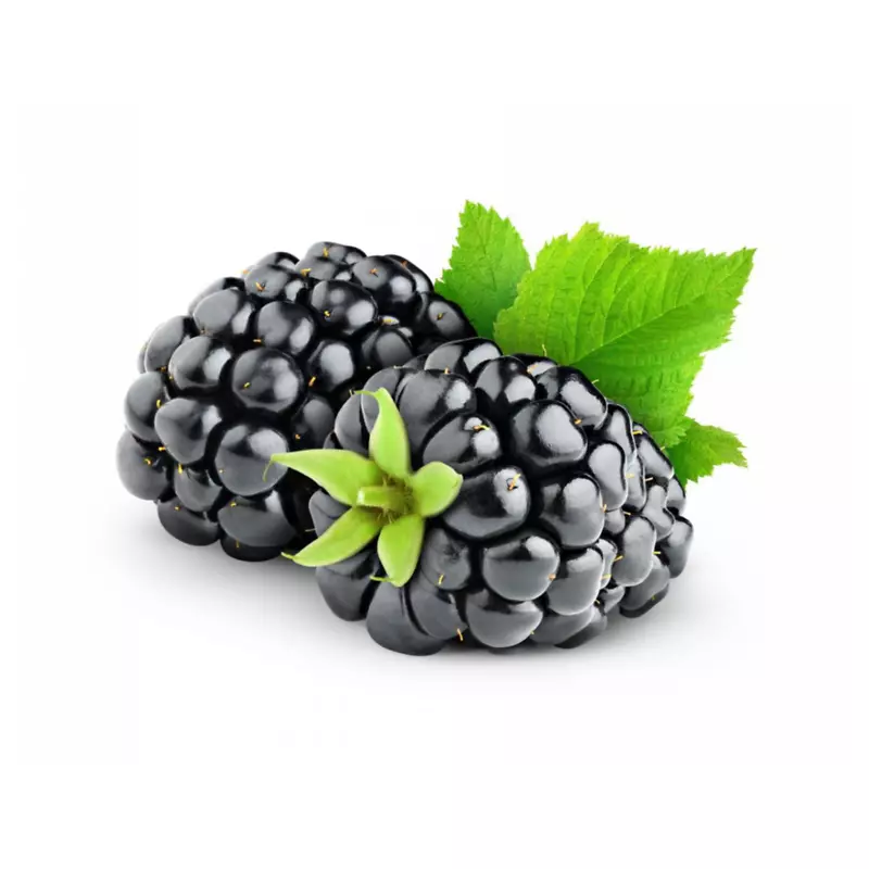 果汁黑莓水果沙棘