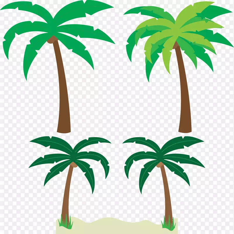 槟榔科植物动画剪辑艺术-棕榈树