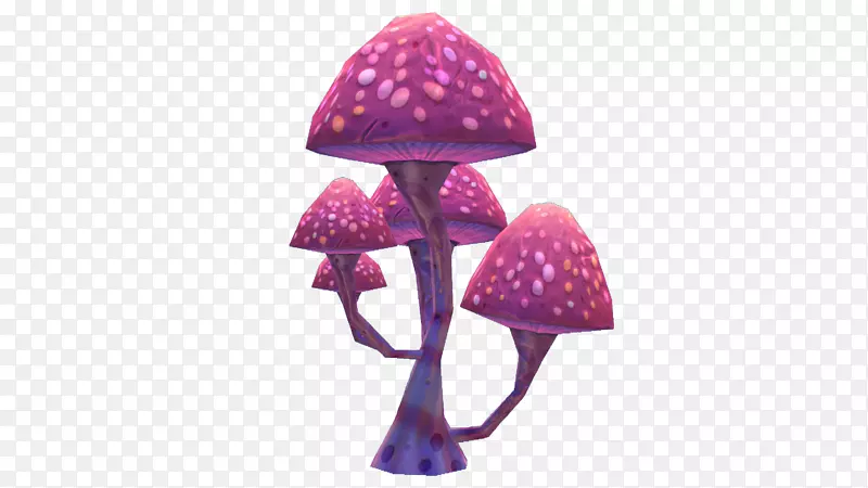 蘑菇维基紫菇