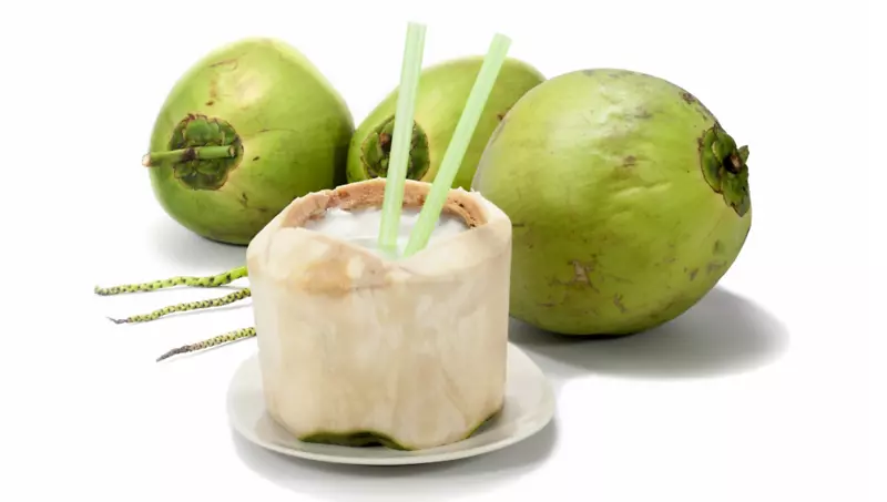 果汁汽水椰子水椰奶运动和能量饮料椰子