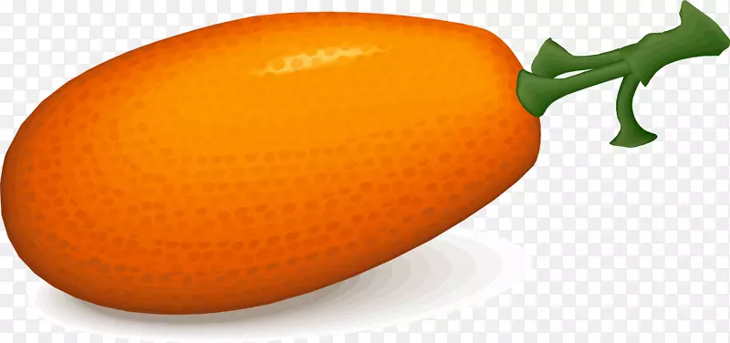 橙汁橘子柿子-柿子
