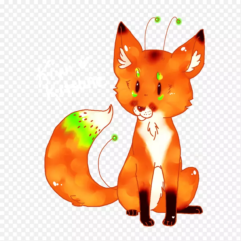红狐猫-猕猴桃
