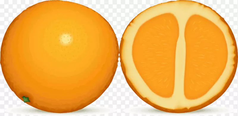 橙汁柠檬水果剪贴画-橘子