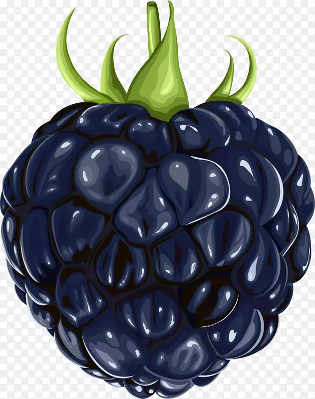 黑莓水果剪贴画-黑莓