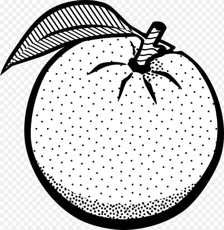橙白水果黑剪辑艺术-柿子