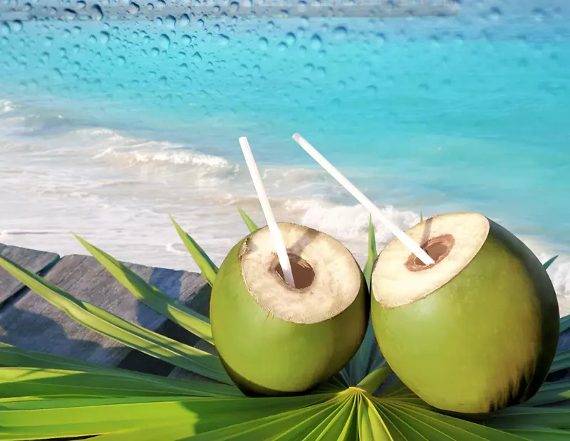 汽水饮料椰子水运动和能量饮料非酒精饮料椰子