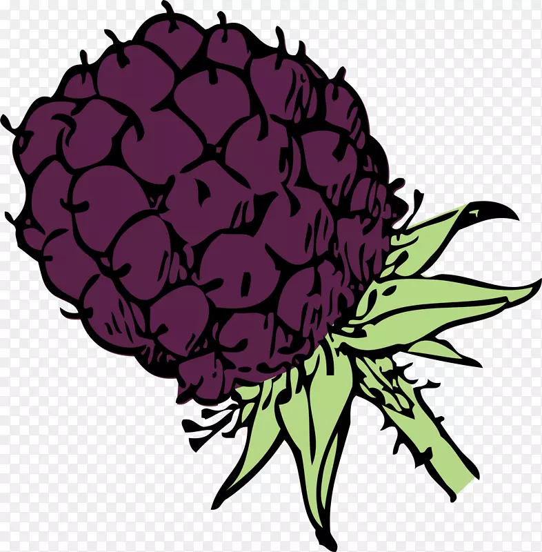 黑莓炖色素书水果剪贴画-黑莓