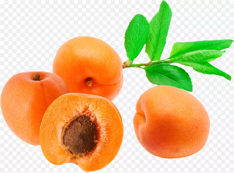 水果食品杏素菜画-杏