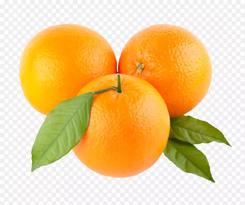 橙色下载剪辑艺术-杏