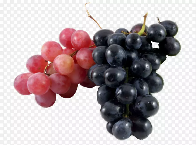 葡萄酒普通葡萄藤必须要有葡萄汁-葡萄。