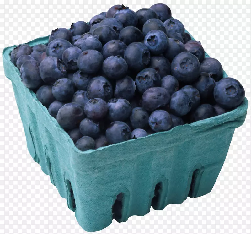 有机食品蓝莓果粉蓝莓