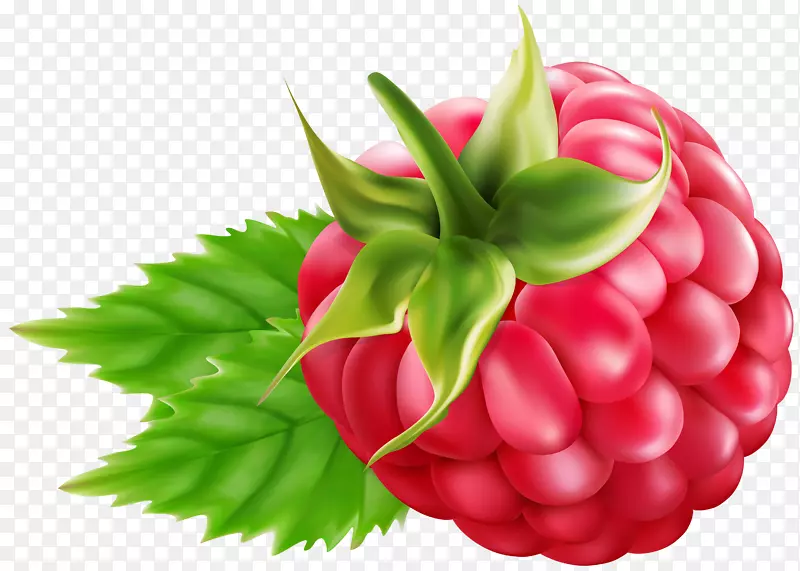 覆盆子黑莓水果剪辑艺术-覆盆子
