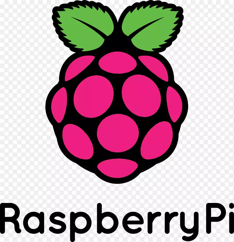 电脑机箱及外壳raspberry pi 3 android中央处理器-覆盆子