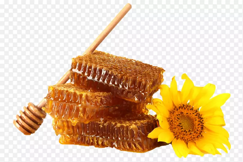 蜜蜂普通向日葵蜂窝桌面壁纸-蜂蜜