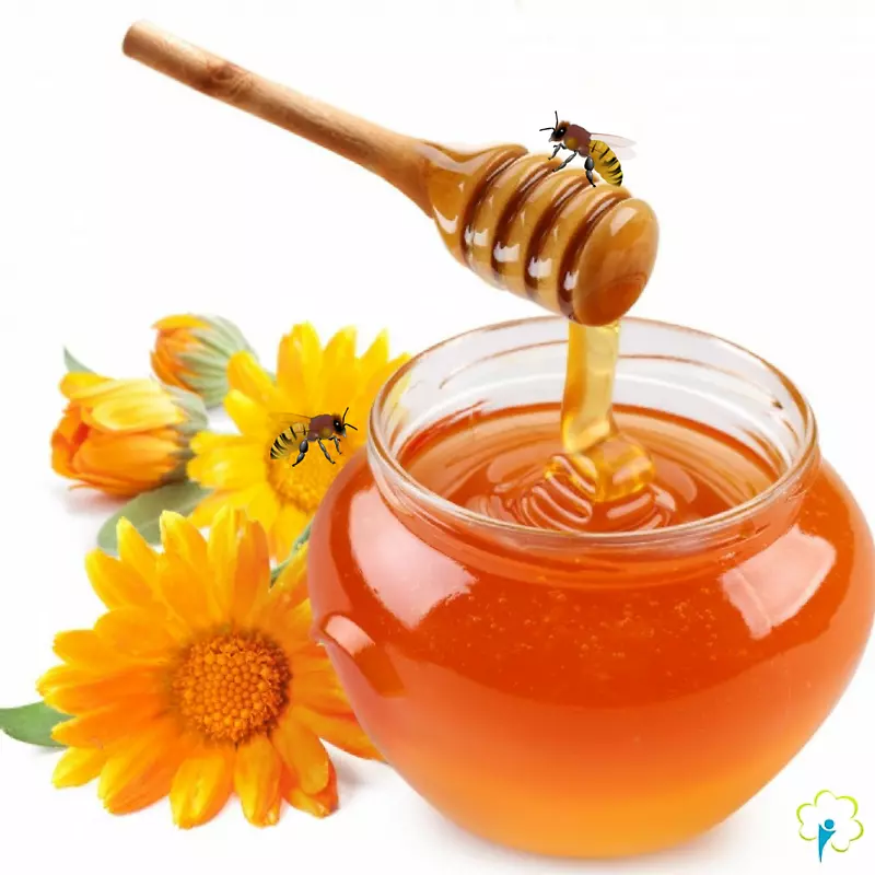 蜂蜜有机食品蜜蜂健康-蜂蜜