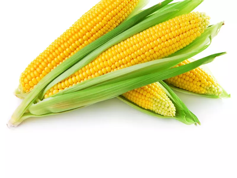 营养膳食补充剂食品营养物质标签-玉米