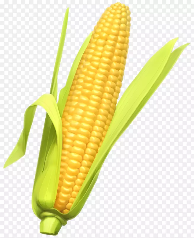 玉米上的玉米蔬菜剪贴画-玉米