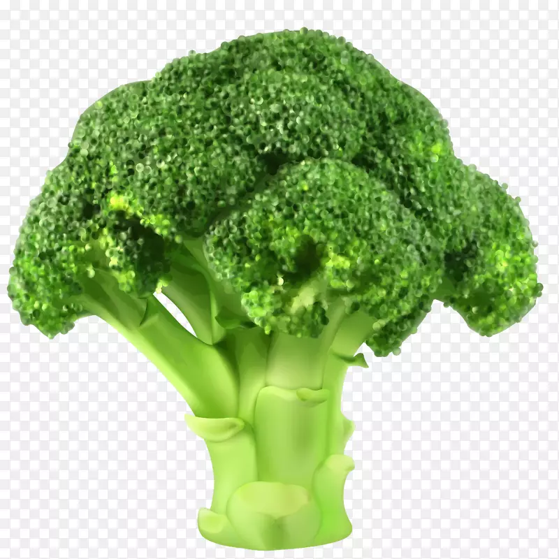花椰菜蔬菜剪贴画花椰菜