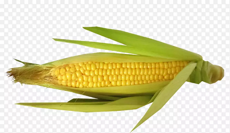 玉米玉米