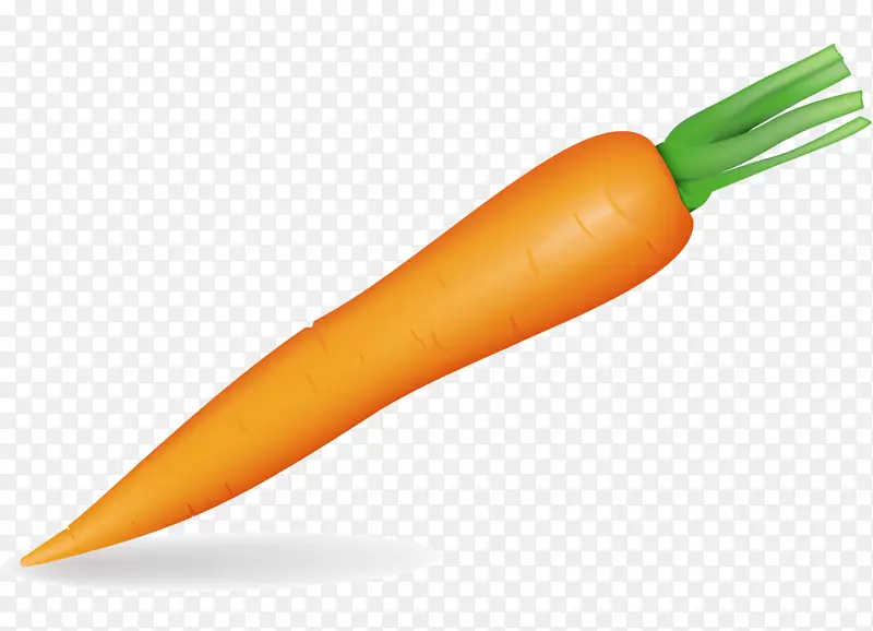 胡萝卜蔬菜夹艺术-胡萝卜