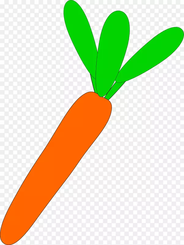 胡萝卜植物动画剪辑艺术-胡萝卜