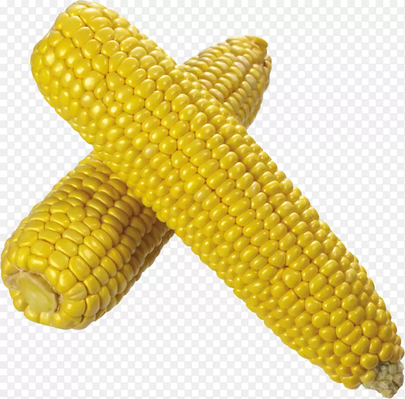 玉米上的玉米芯爆米花火石玉米甜玉米-玉米