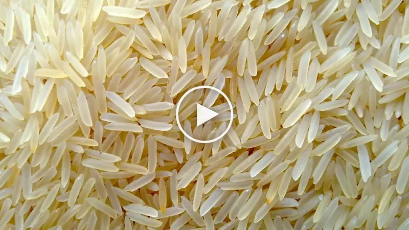 谷类食品-大米