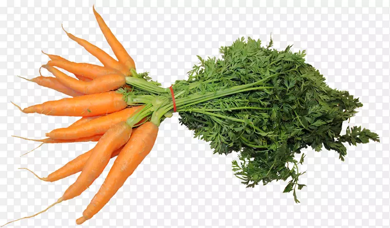 胡萝卜蔬菜吃芹菜胡萝卜