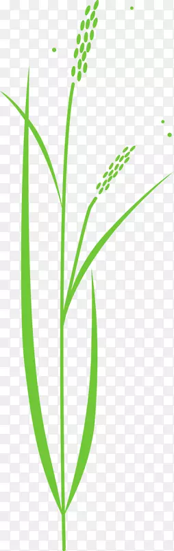 水稻谷类植物剪贴画-水稻