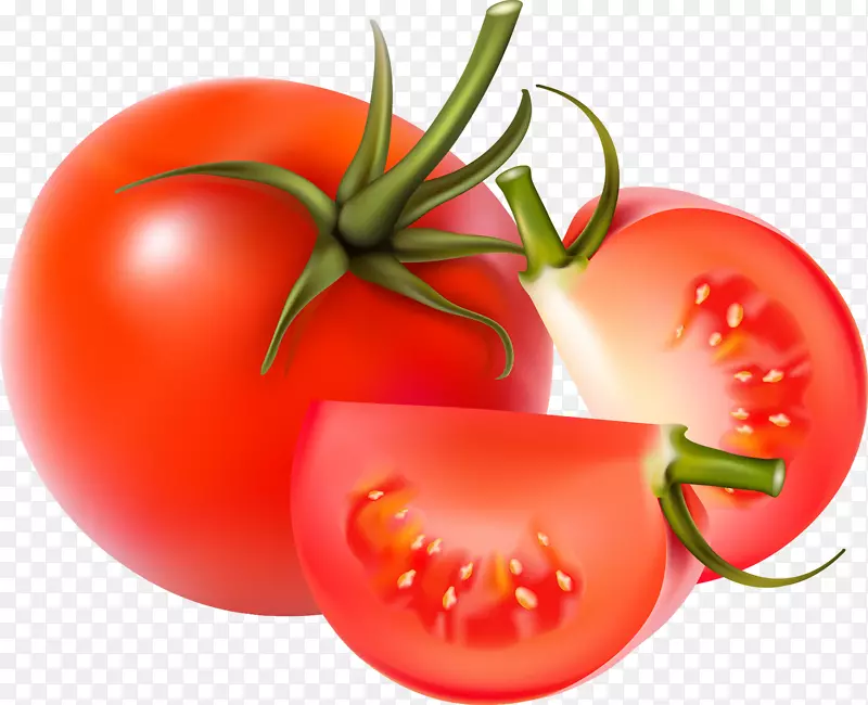 蓝色番茄圈蔬菜砧木-番茄