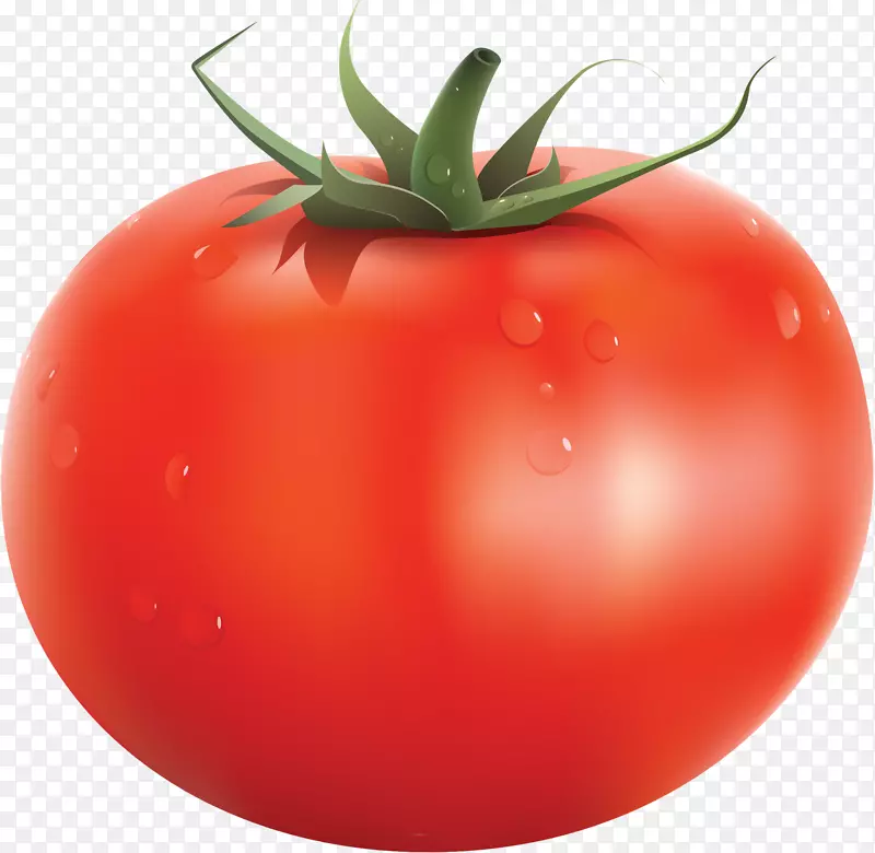 番茄汁樱桃番茄意大利番茄派番茄汤-番茄