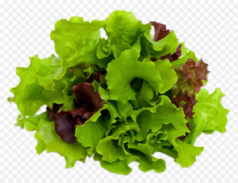 凯撒沙拉生菜叶蔬菜沙拉