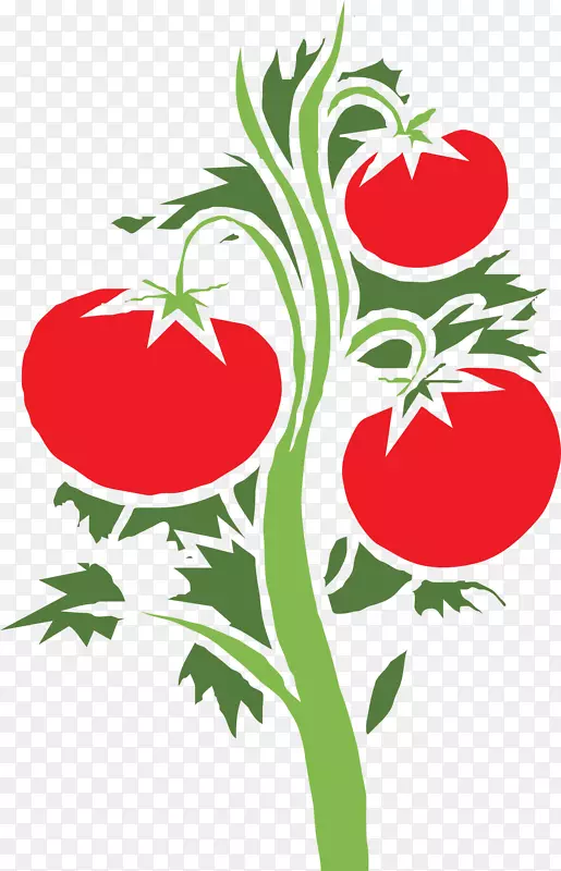 樱桃番茄植物剪贴画-番茄