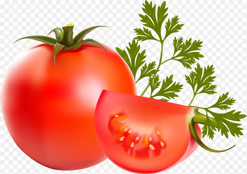 番茄蔬菜欧芹食品-番茄