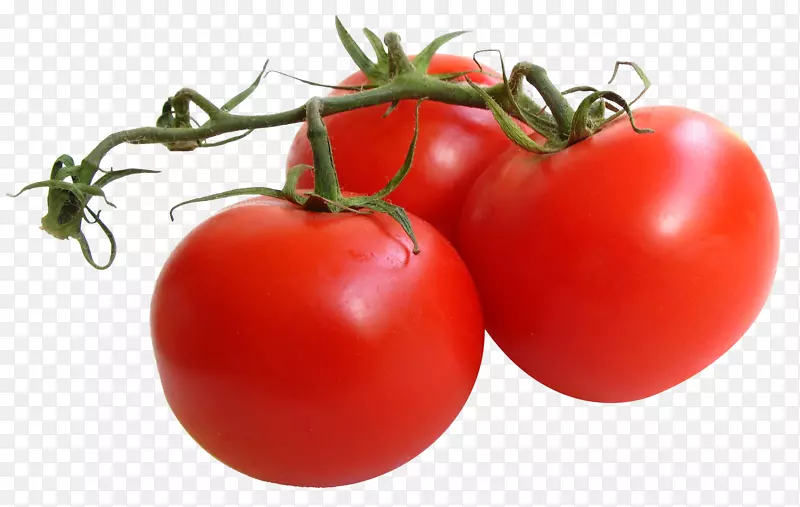 芝加哥植物园番茄酱蔬菜抗氧化剂-番茄
