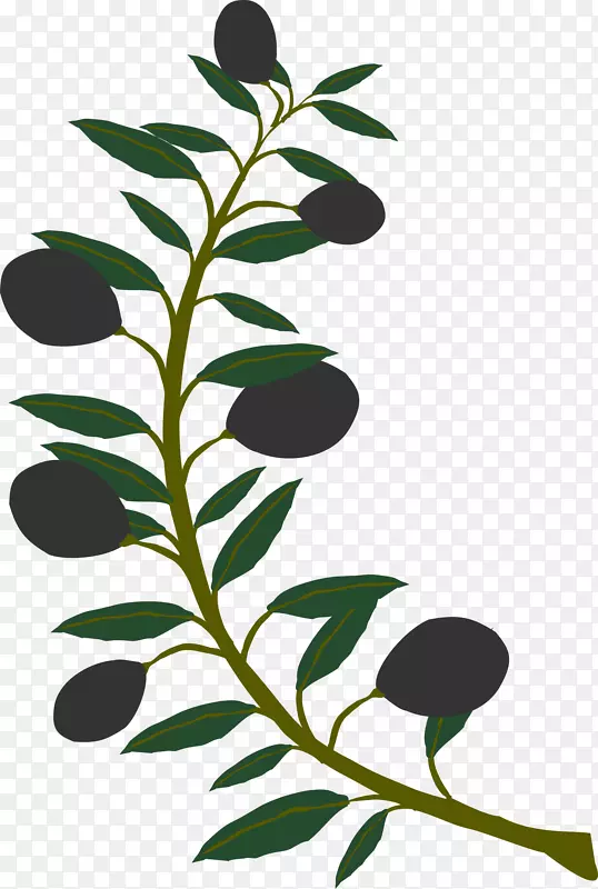 橄榄枝电脑图标剪辑艺术橄榄