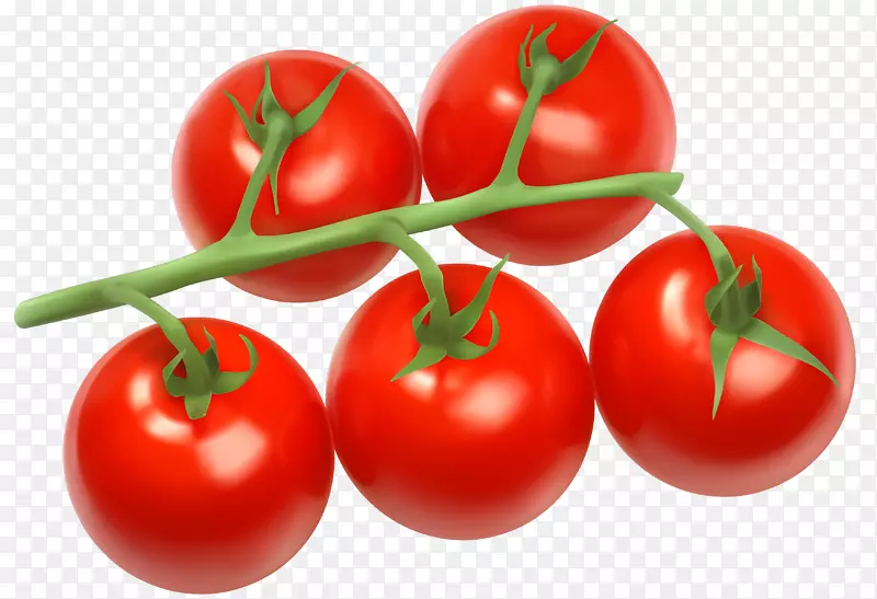 樱桃番茄蔬菜灌木番茄剪贴画-番茄