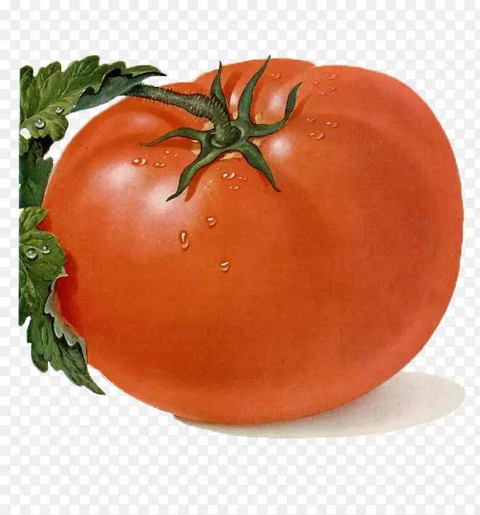 樱桃番茄脆皮传家宝番茄水果剪贴画