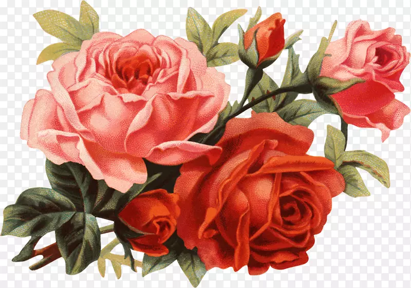 花束夹艺术-玫瑰