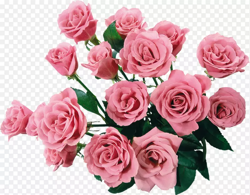 花束玫瑰夹艺术花束