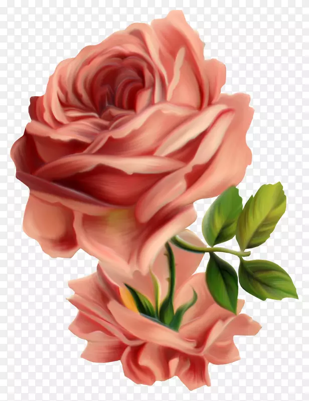 紫丁香玫瑰，复古服装，花粉色剪贴画-玫瑰
