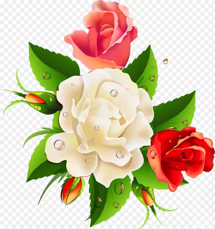 花边花卉设计剪贴画-白玫瑰
