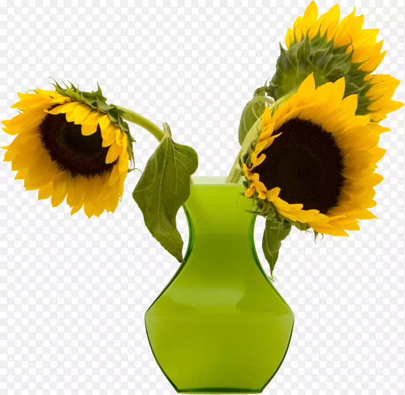 普通向日葵花瓶-向日葵