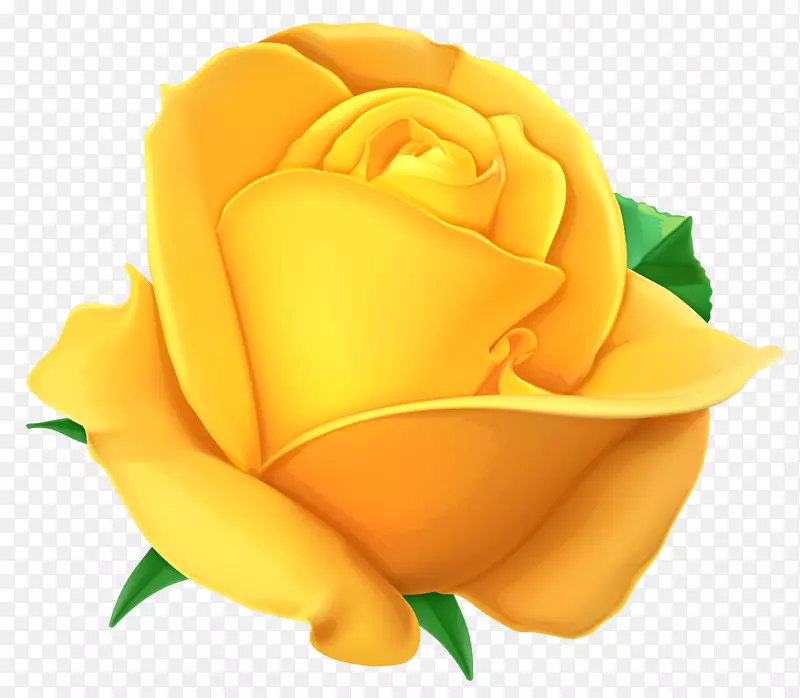 玫瑰黄色水彩画剪贴画-白玫瑰