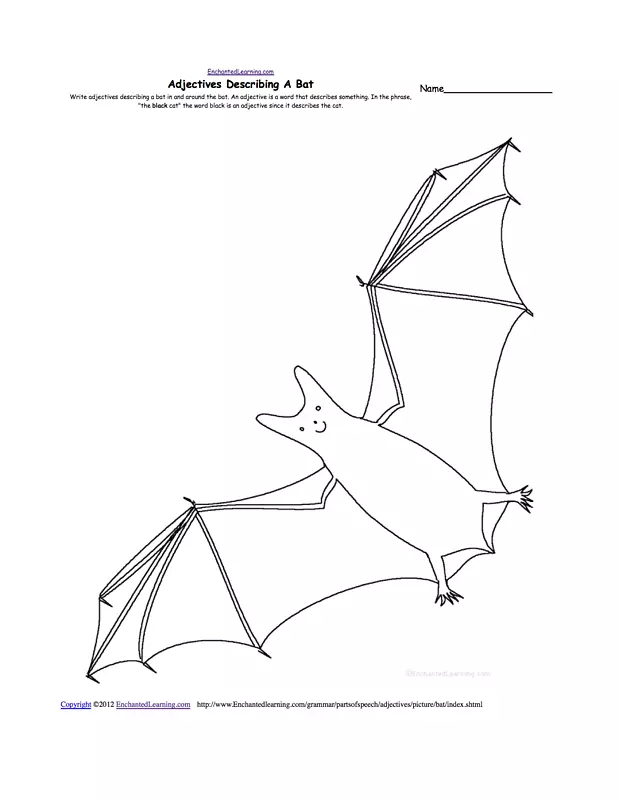 巨型绘图工作表解剖.水果蝙蝠的图纸