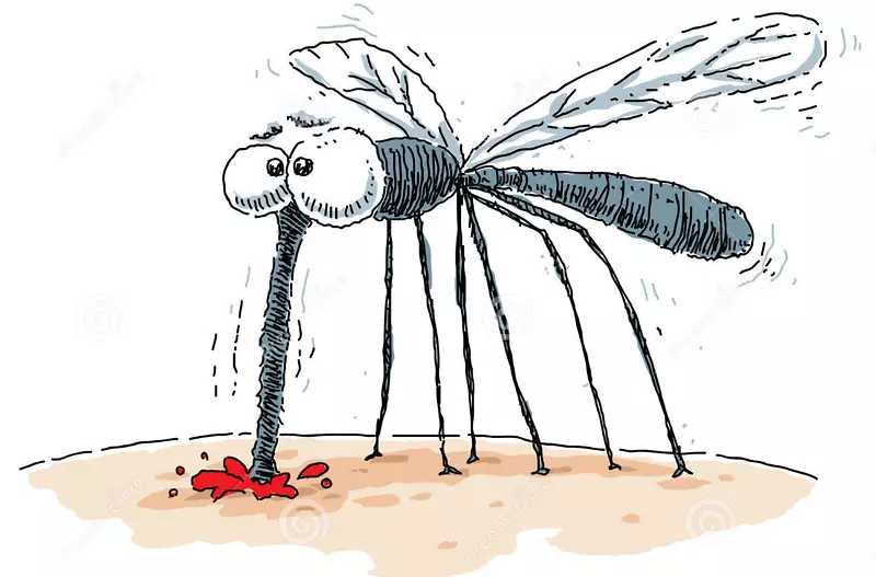 蚊虫卡通版税-免动物咬人夹艺术.救生圈