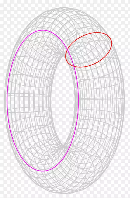 环面环拓扑同胚面-救生圈